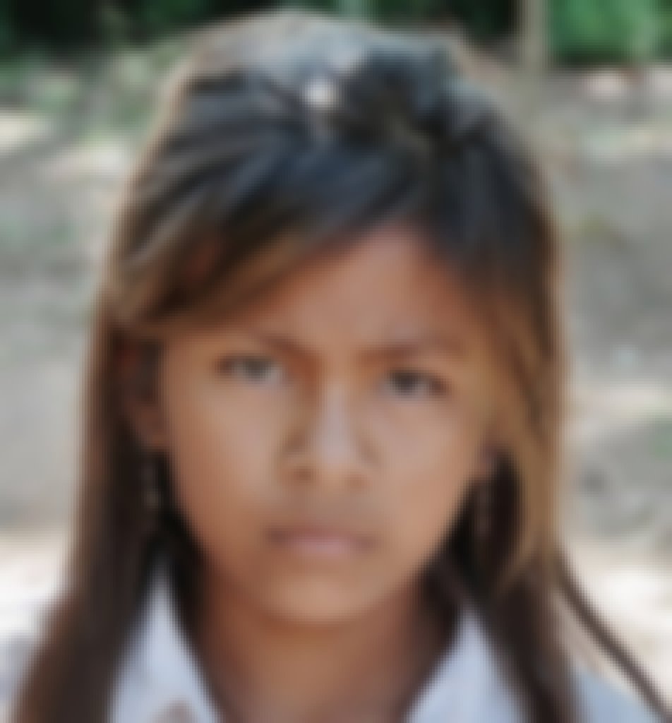Cambodian Princess Top