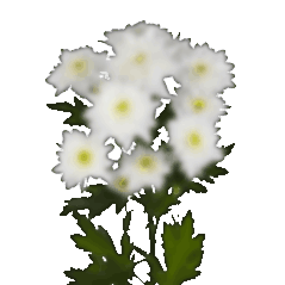 Carmita Bonita