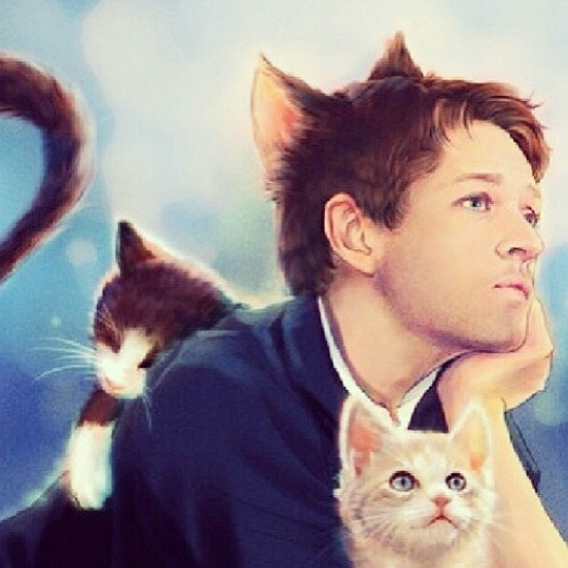 Castiel The Cat
