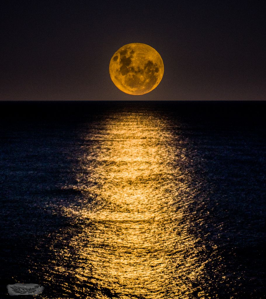Claire De Lune
