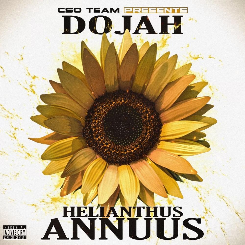 Dojah