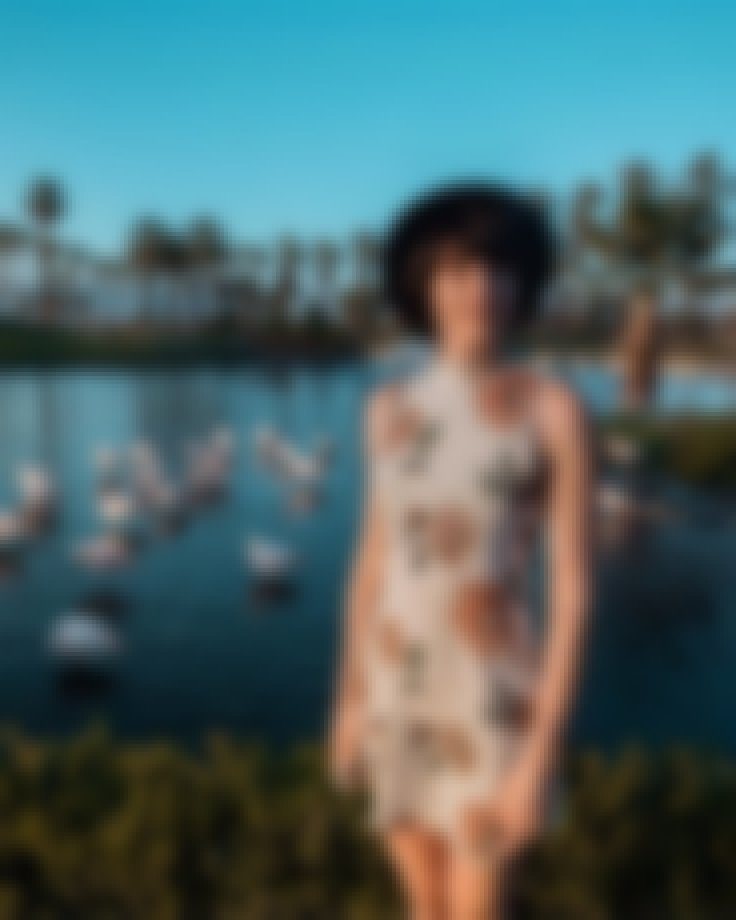 F I O R E L L A