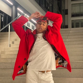 Foreign Jay
