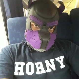 Gabriel Phoenix Pup Trekkie