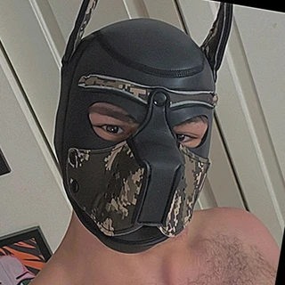 Gabriel Phoenix Pup Trekkie