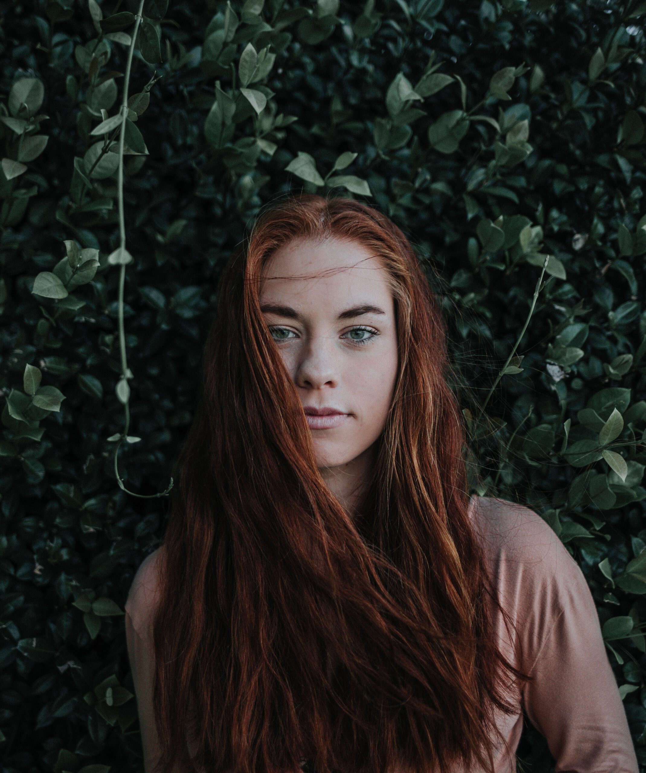 Joy Doyle
