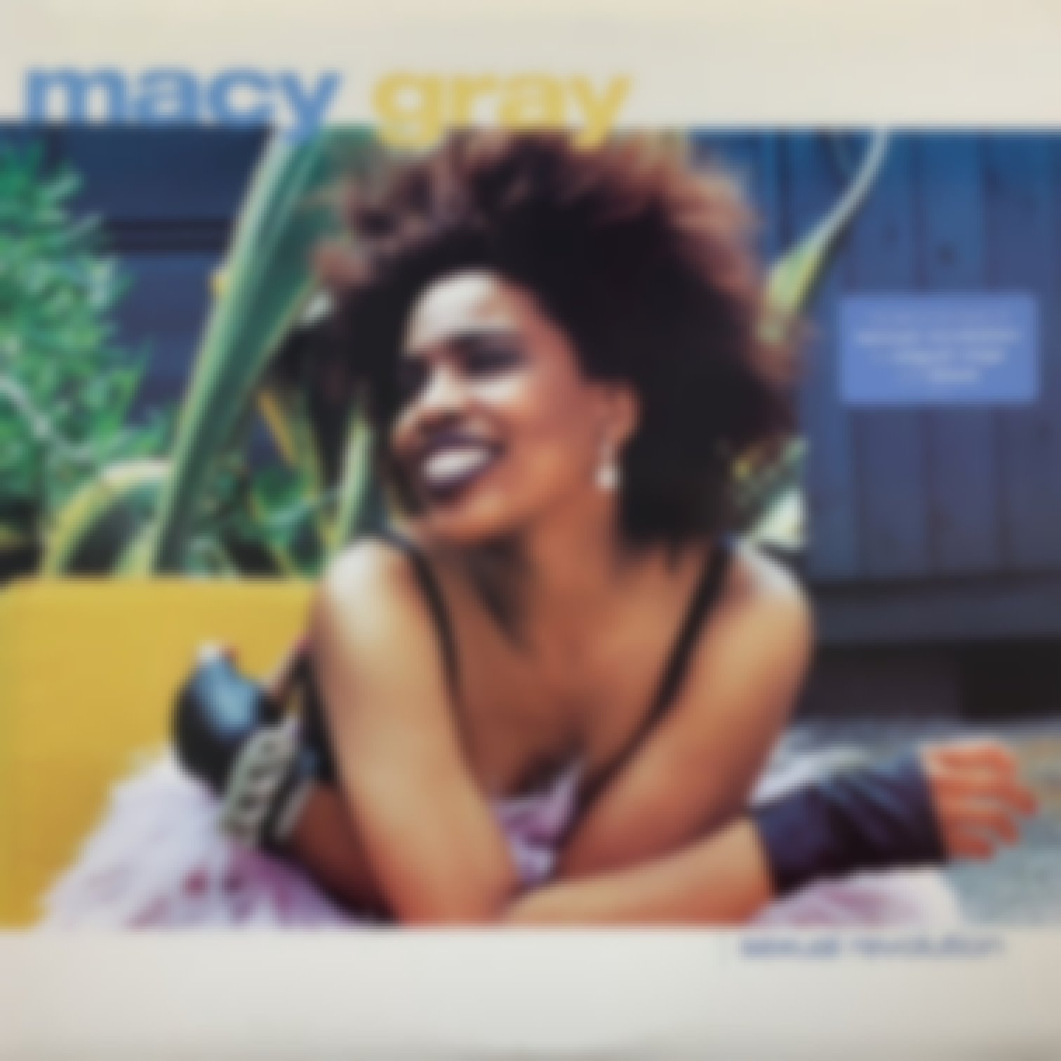 Macy Gray