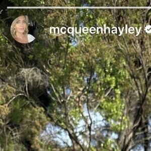 Mcqueen