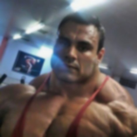 Muscle Bulls