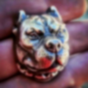 Pit Bullion