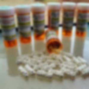 Pit Bullion