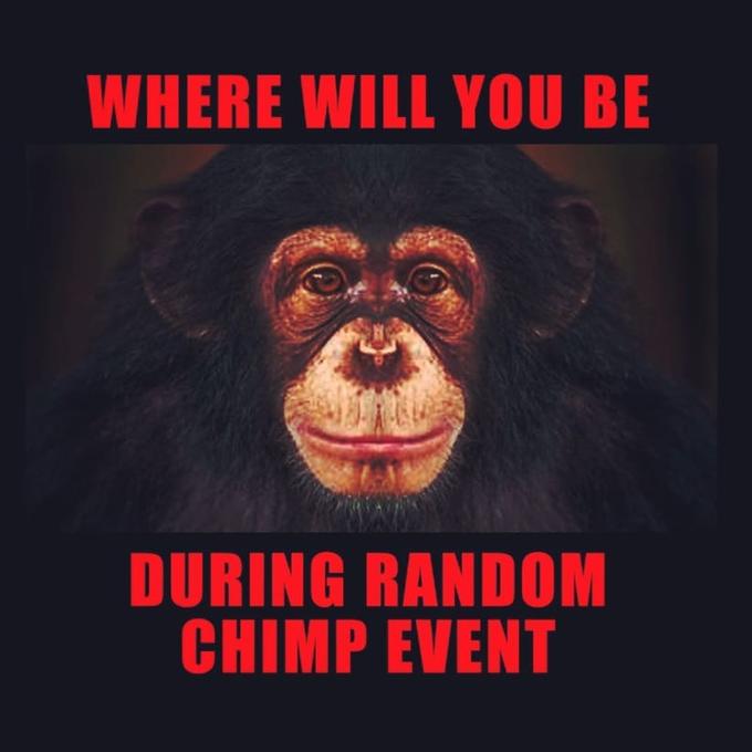 Random Chimp Event