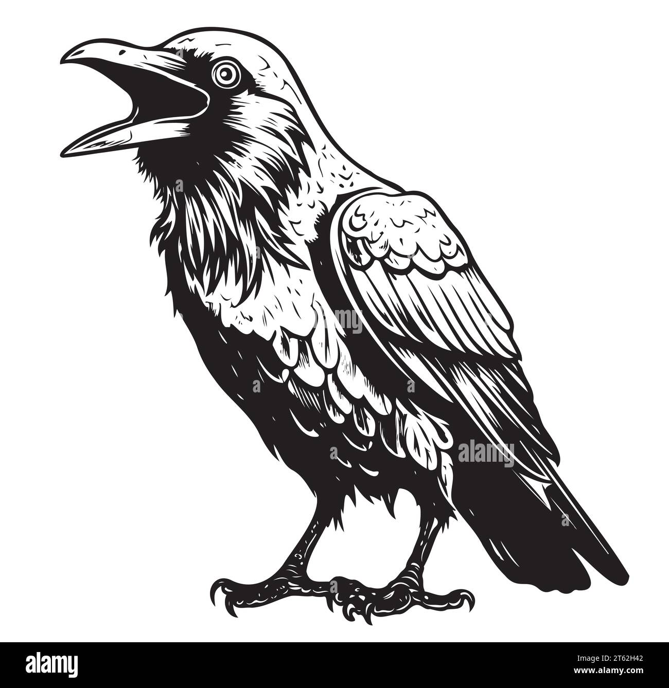 Raven Wilde