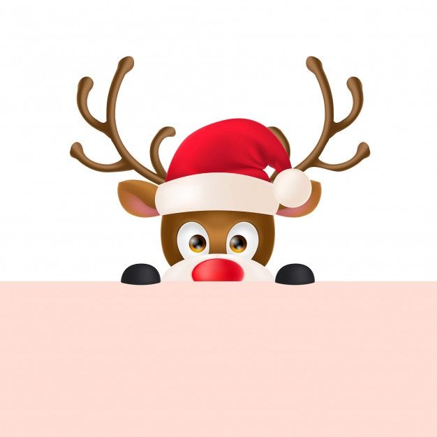 Rena Reindeer