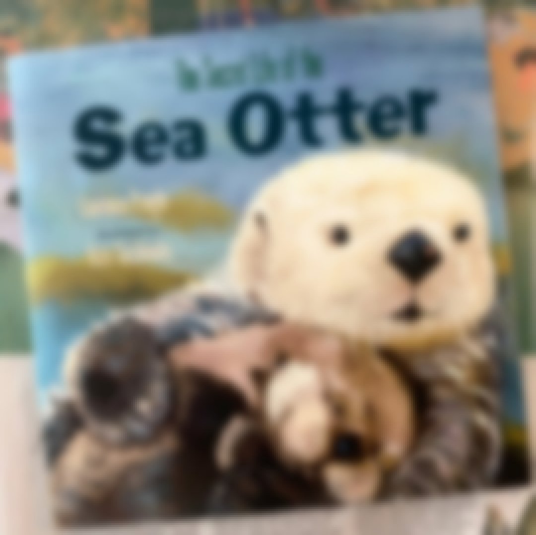 Secret Otter