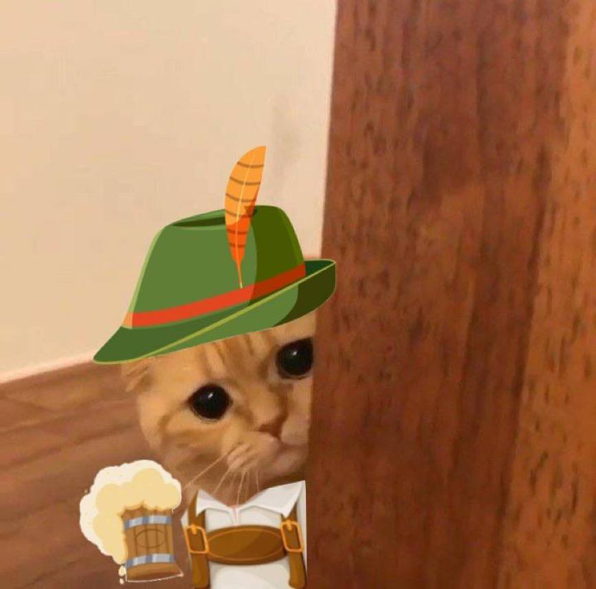 Shycat