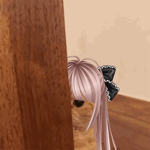 Shycat
