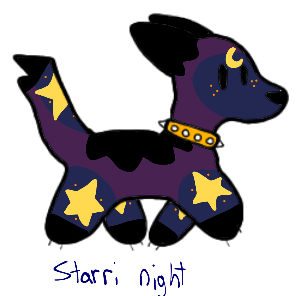 Starri Night