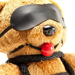 Teddy Selfsuck