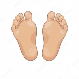 Tits Ass Feet