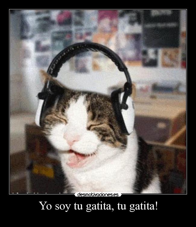 Tu Gatita