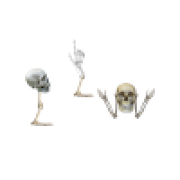 Welcome To The Bone Zone