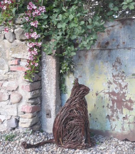 Willow Reeds