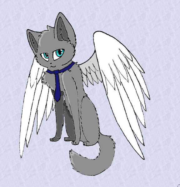 Castiel The Cat