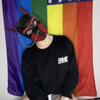 Gabriel Phoenix Pup Trekkie