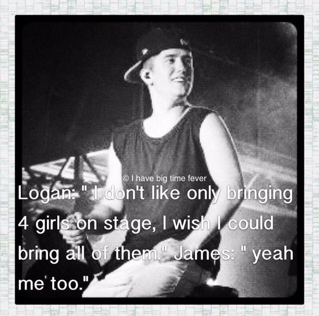 Logie Bear