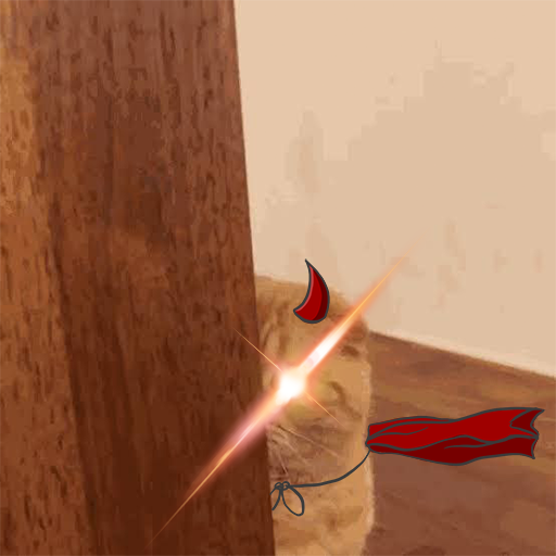 Shycat